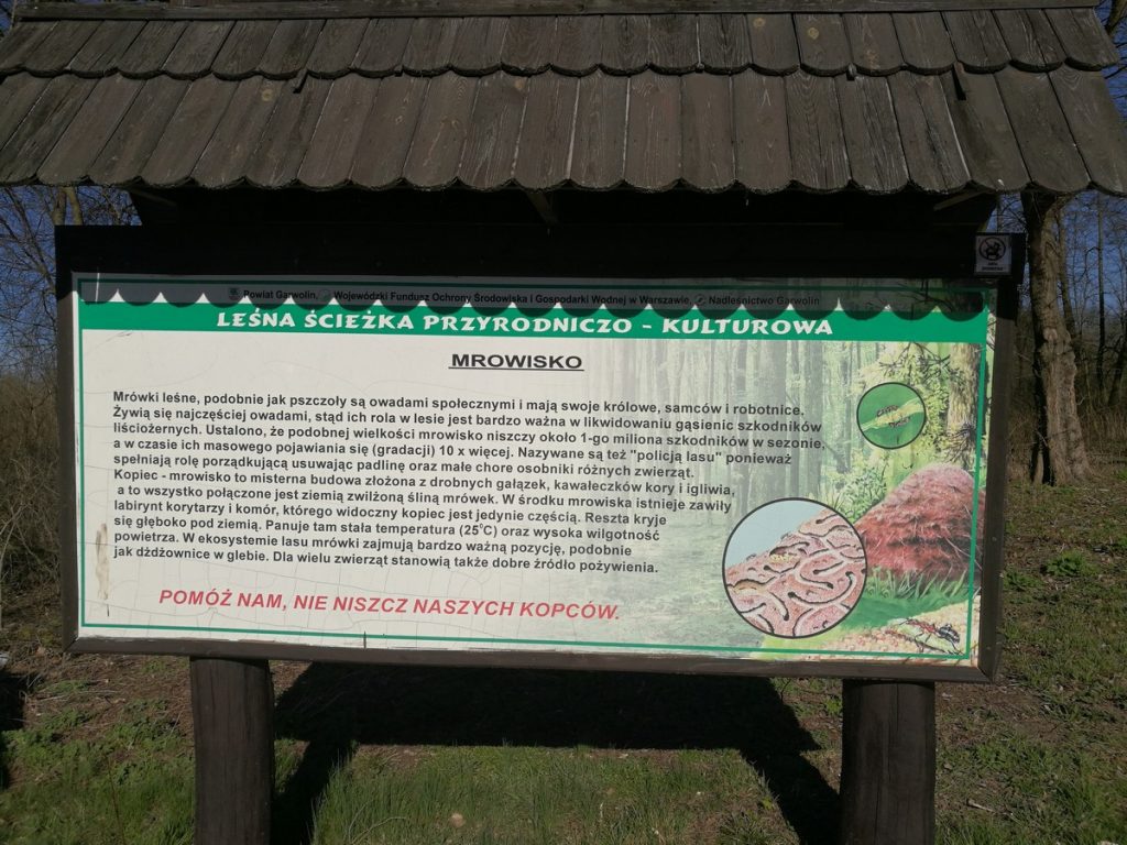 leśna-ścieżka-przyrodniczo-kulturowa-41