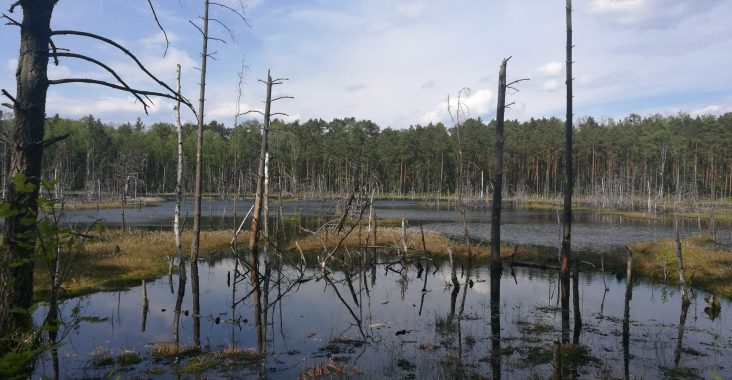 bagno-bocianowskie-1