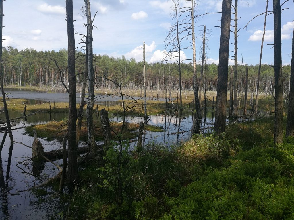 bagno-bocianowskie-4